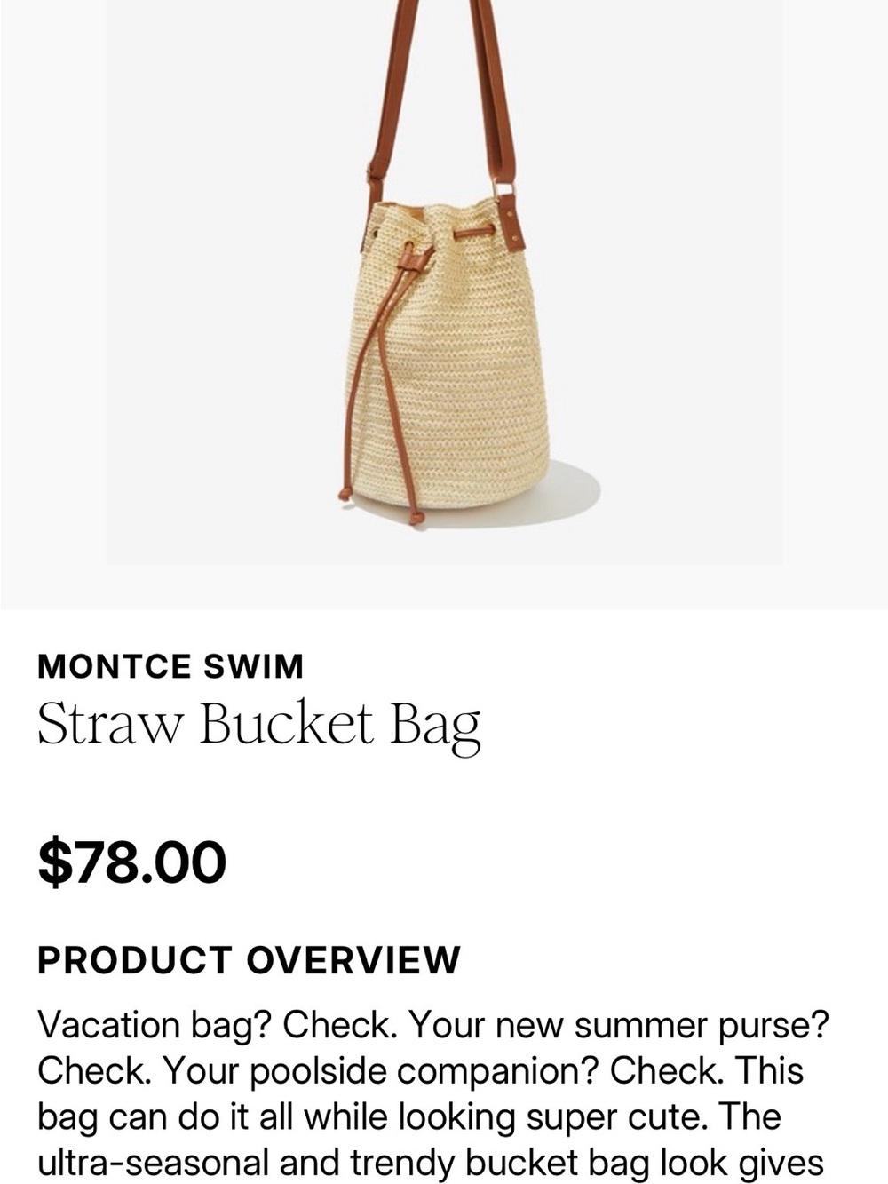 NWOT : Straw Bucket Shoulder Bag in Natural and Brown